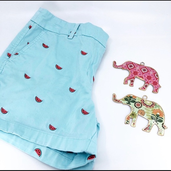 🍉🍉Cambridge Dry Goods watermelon shorts size 8. *Shorts only * - Picture 2 of 10